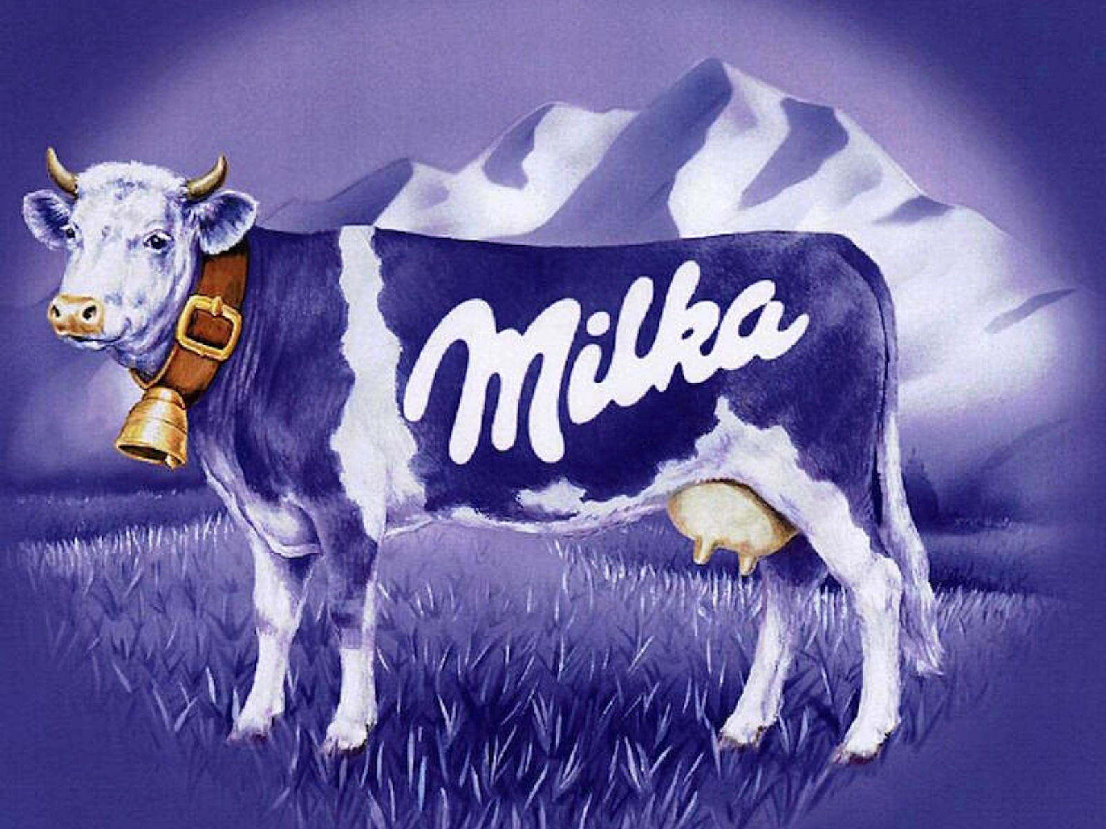 Милка шоколад корова. Реклама Милка. Фиолетовая корова Милка. Реклама Милки. Милка халяль